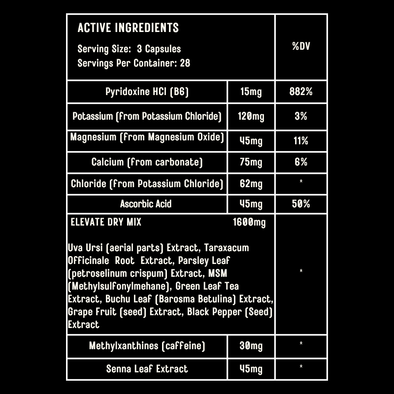 ELEVATE | DRY (28 SERVINGS)