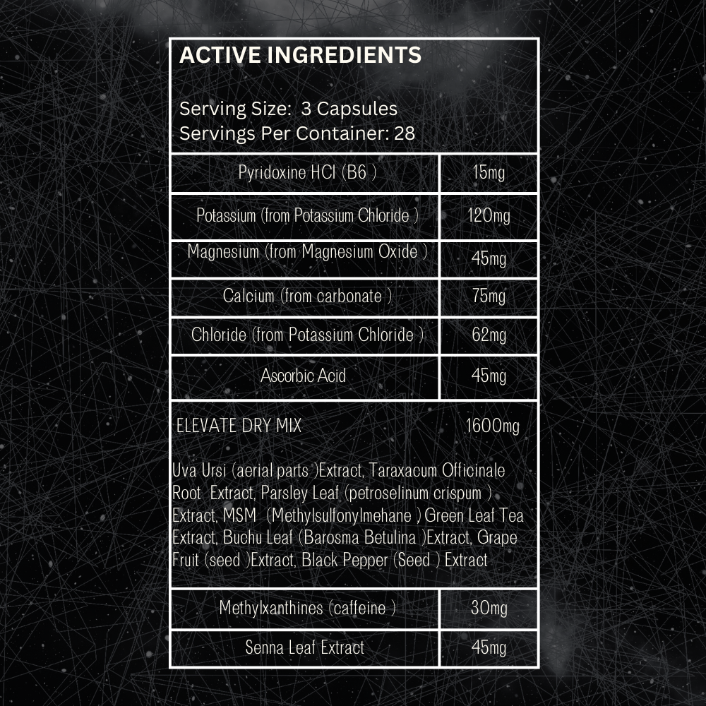 ELEVATE | DRY (28 SERVINGS)