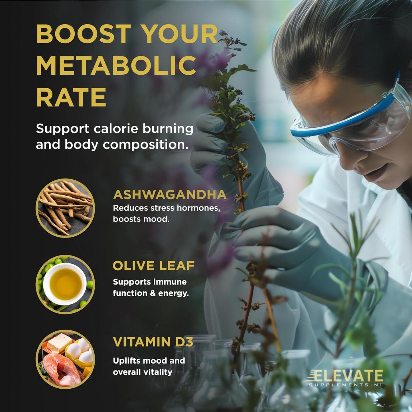 THYROID & METABOLISM (30 SERVINGS)