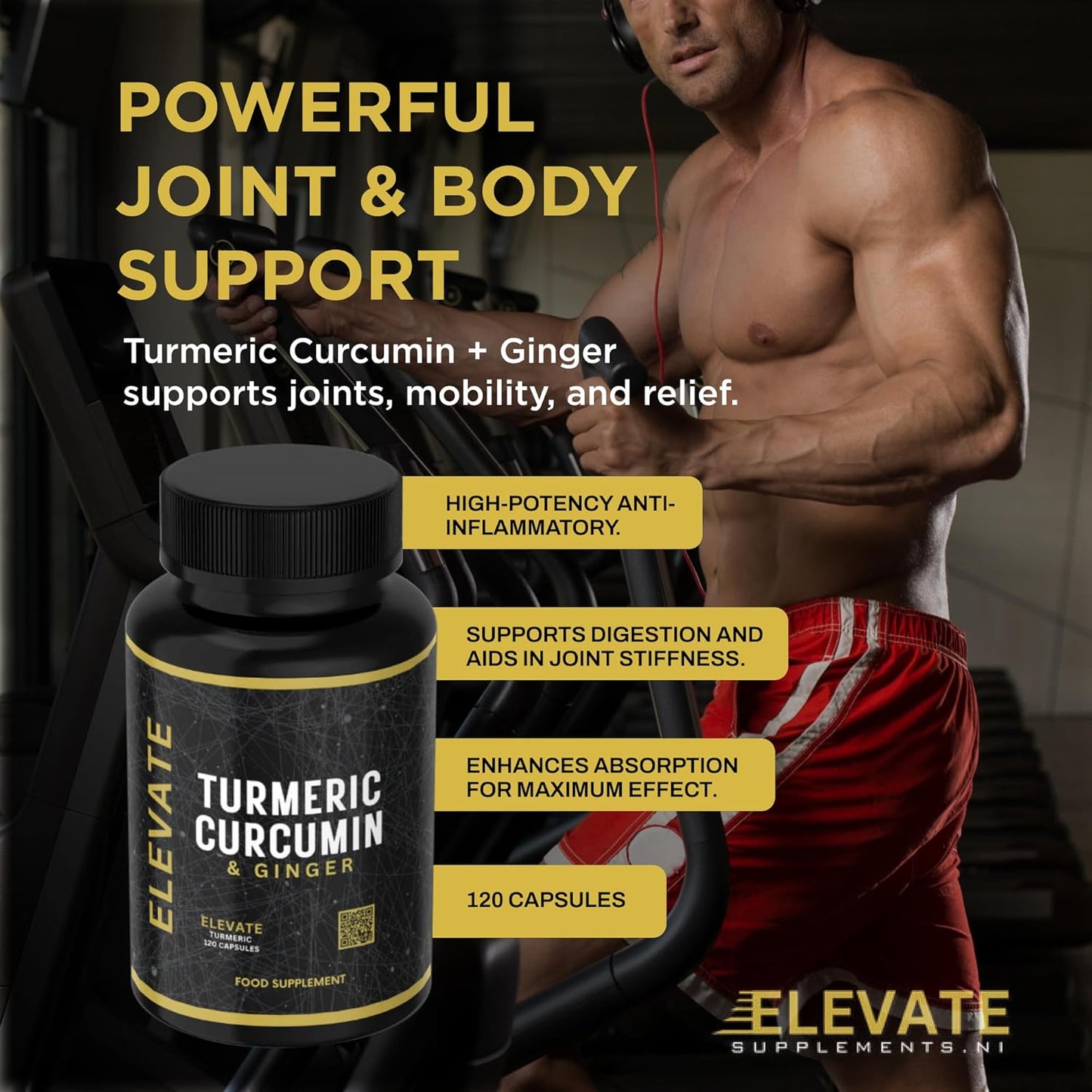 TURMERIC CURCUMIN & GINGER