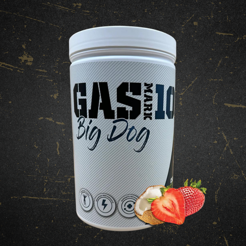 GASMARK10 | BIG DOG