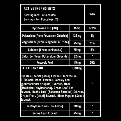 ELEVATE | DRY (28 SERVINGS)