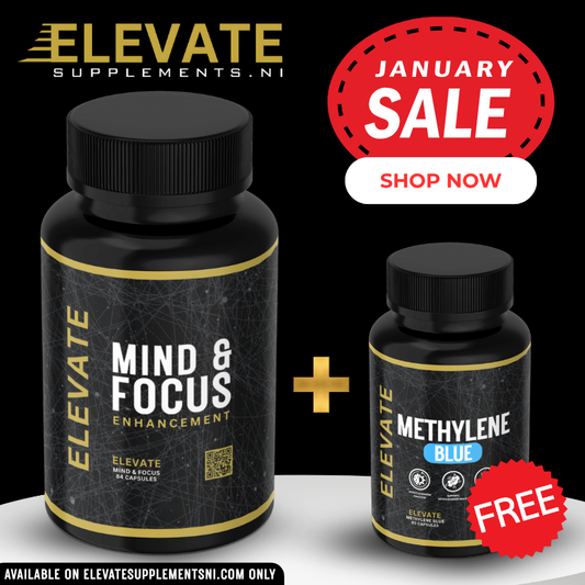 MIND & FOCUS (28 SERVINGS)