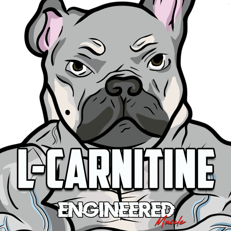 ENGINEERED MUSCLE | L-CARNITINE